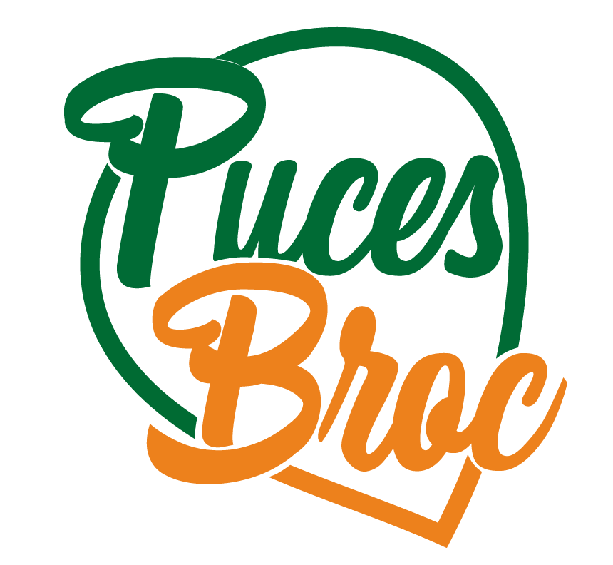 Puces Broc